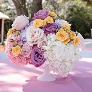 Meet your Posher, Vanessa